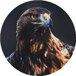 Мусагали А.