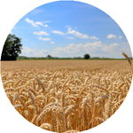 Владимир М.