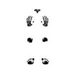 Темирлан К.