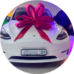 Гульсина Қ.