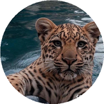 Мұхаммед С.