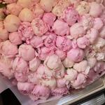 Алтынгүл Н.