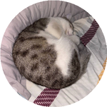 Нұрдәулет Қ. (Яндекс еда)