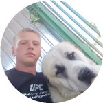 Антон З.