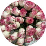 Қалбинұр С.