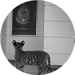 Мейрамбек О.