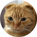 Александра Н.