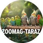 Абдусамат А.