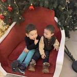 Гулфайрус Е.