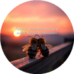 Шолпан Қ.