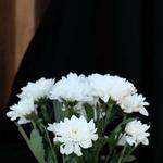 Бибигуль Н.