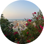 Нұрбақыт Қ.