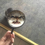 Шахтемир М.