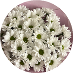 Гульжазира А.