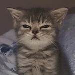 Александра К.