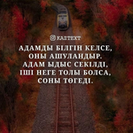 Шерингуль Н.