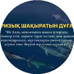Нургуль Д.