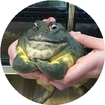 Оксана А.