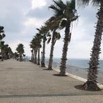 Дальмира К.