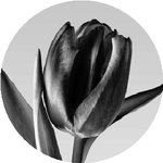 Елизавета К.