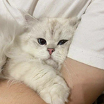 АЙГЕРИМ Е.