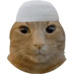 Эрик З.