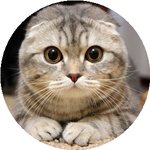 Владислав М.