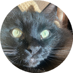 Виктория Ч.