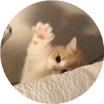 Екатерина А.