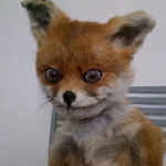 Александр С.