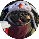 Александра Ж.