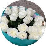 Махаббат Б.