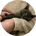 Аблайхан Ж.