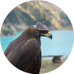 Нуриддин Р.