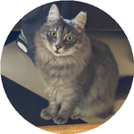 Анастасия К.