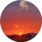 Светлана З.