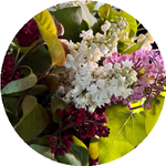 Гульназия К.