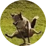 Айғаным Т.