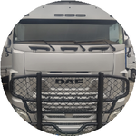 Алтынбек М.