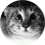 Хаджи-Мурат И.