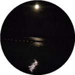 Мейірлан Б.