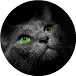 Екатерина Ц.