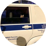 Григорий Р.