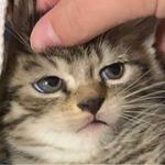 Александра Р.