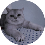 Анна К.