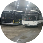 Алтынгүл М.