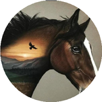 Нурдәулет Қ.