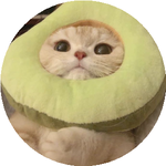 Фатима А.