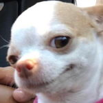 Вячеслав Г.