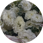 Анжелика Я.